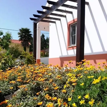 Casas Fruta *